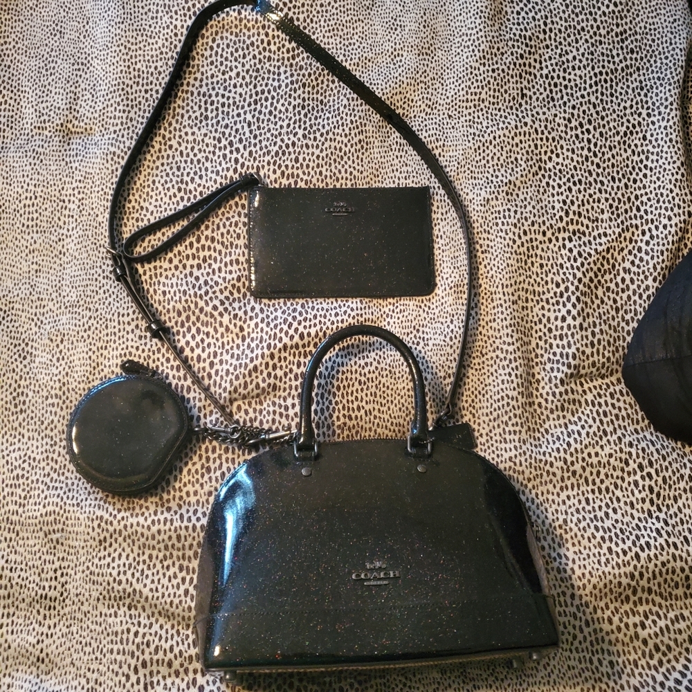 SOLD❤ Coach X NASA Mini Bag +Coin Purse +Wristlet